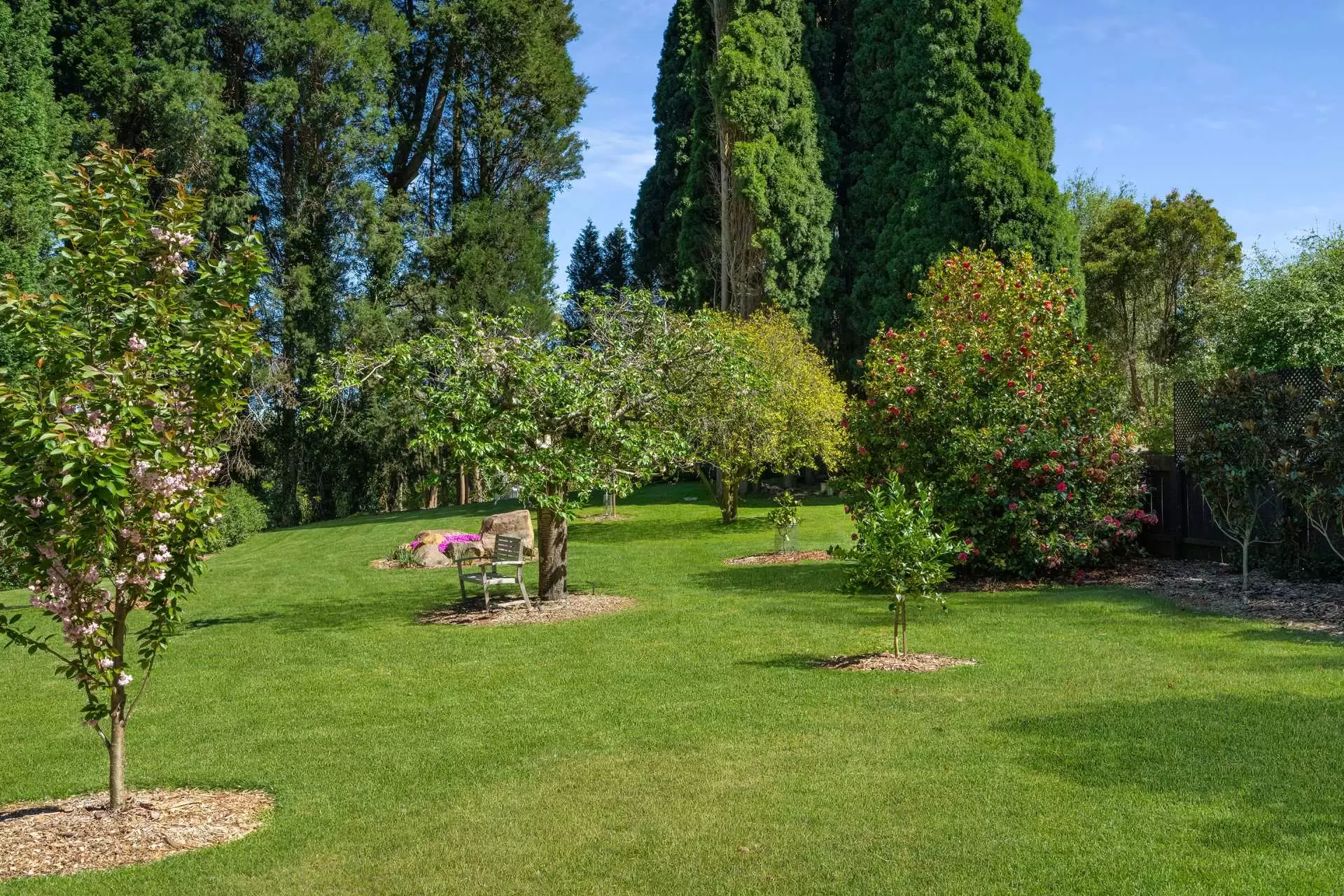 16 Cliff Street, Bowral Sold by Drew Lindsay Sotheby's International Realty - image 9