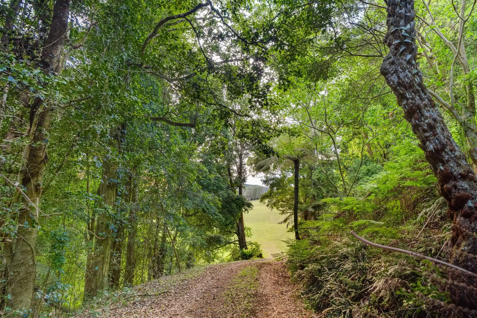 71 Nuninuna Drive, Jamberoo For Sale by Drew Lindsay Sotheby's International Realty - image 10
