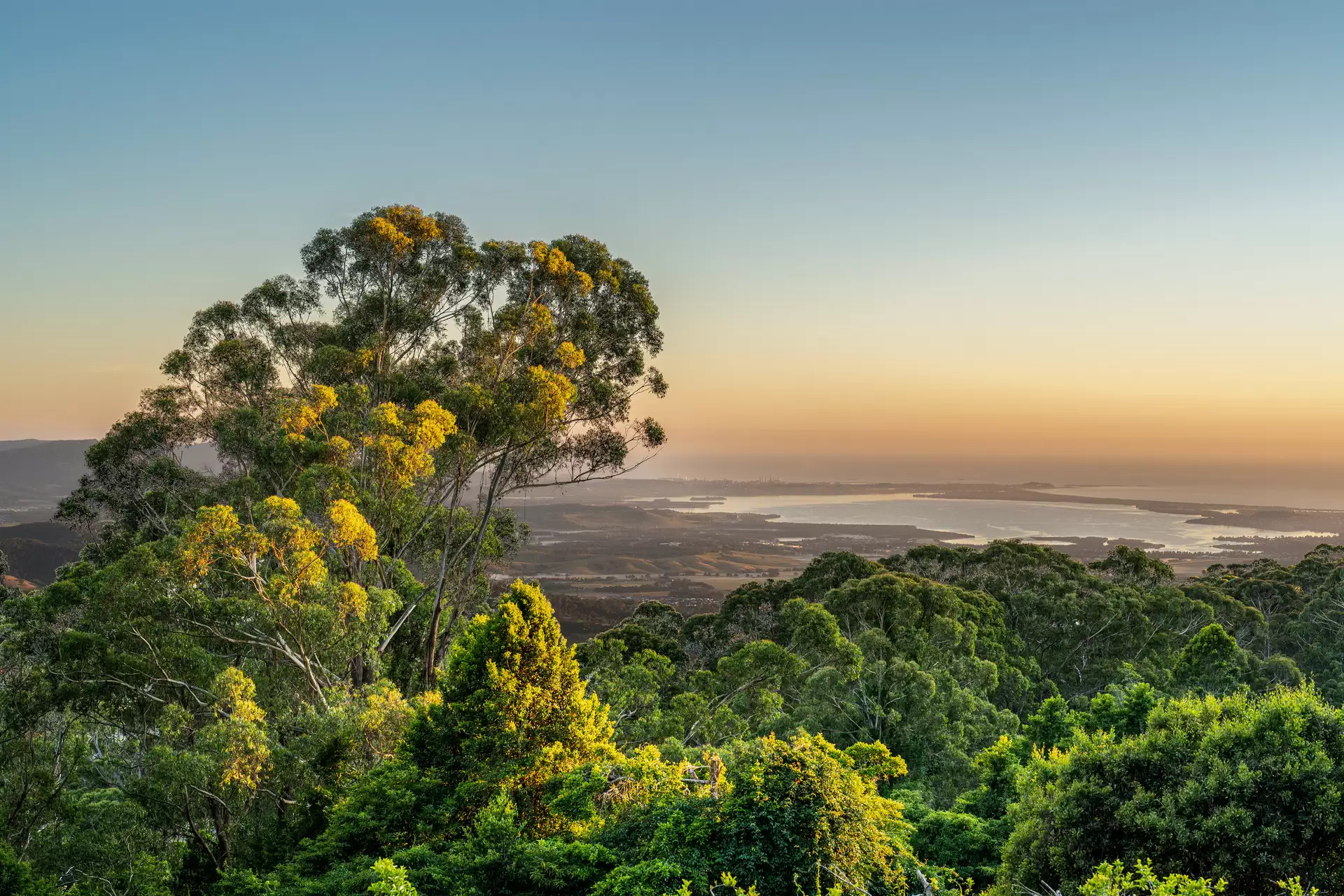 240 Lees Road, Robertson For Sale by Drew Lindsay Sotheby's International Realty - image 1