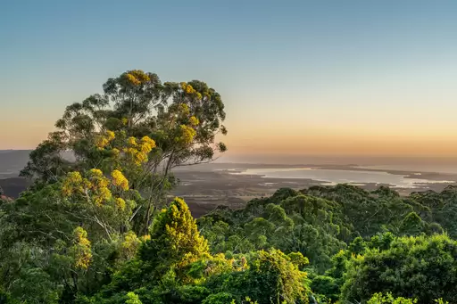 240 Lees Road, Robertson For Sale by Drew Lindsay Sotheby's International Realty