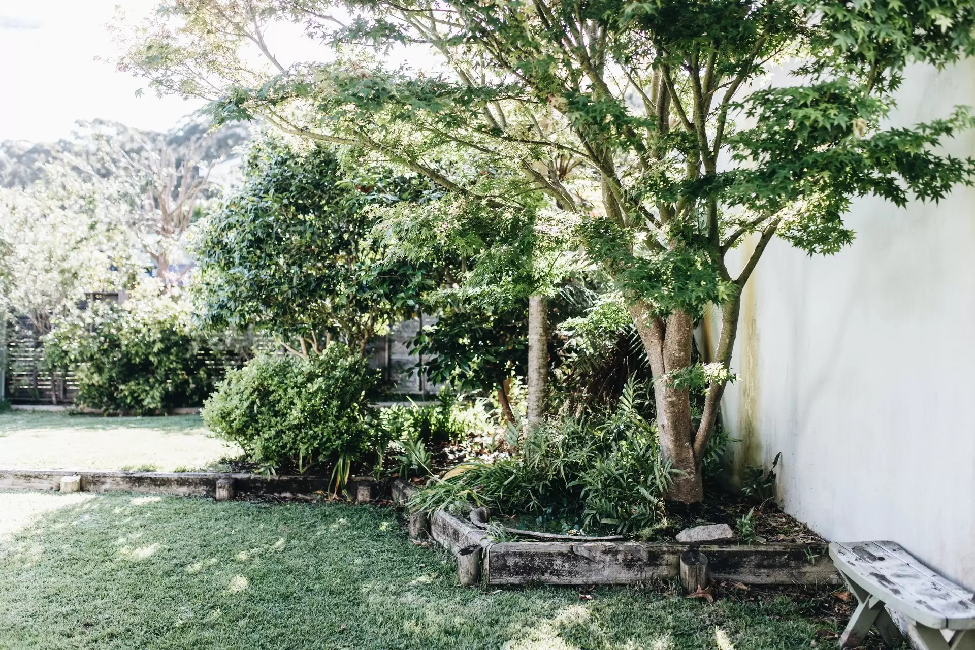 29 Cyrus Street, Hyams Beach Sold by Drew Lindsay Sotheby's International Realty - image 19
