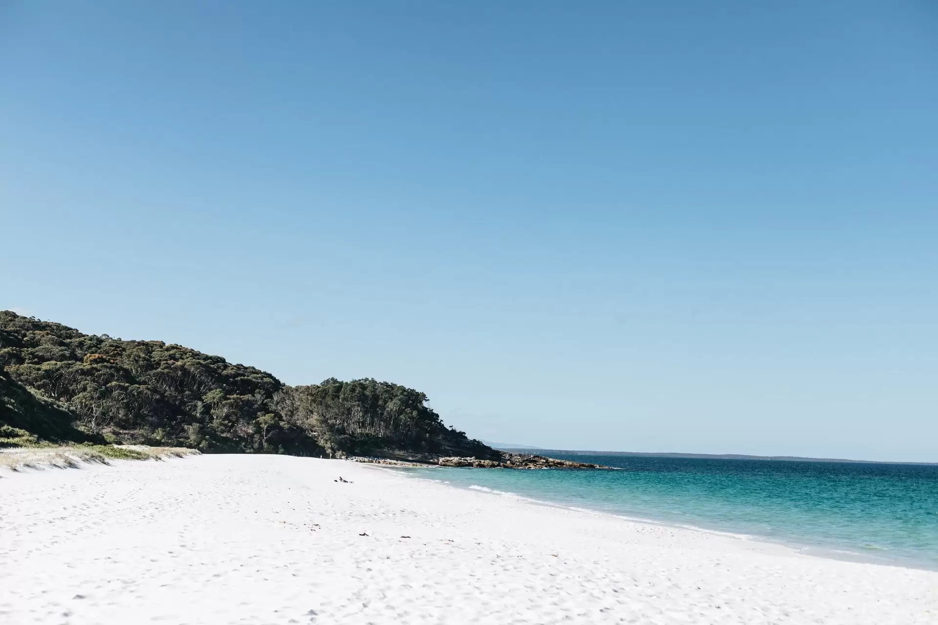 29 Cyrus Street, Hyams Beach Sold by Drew Lindsay Sotheby's International Realty - image 20