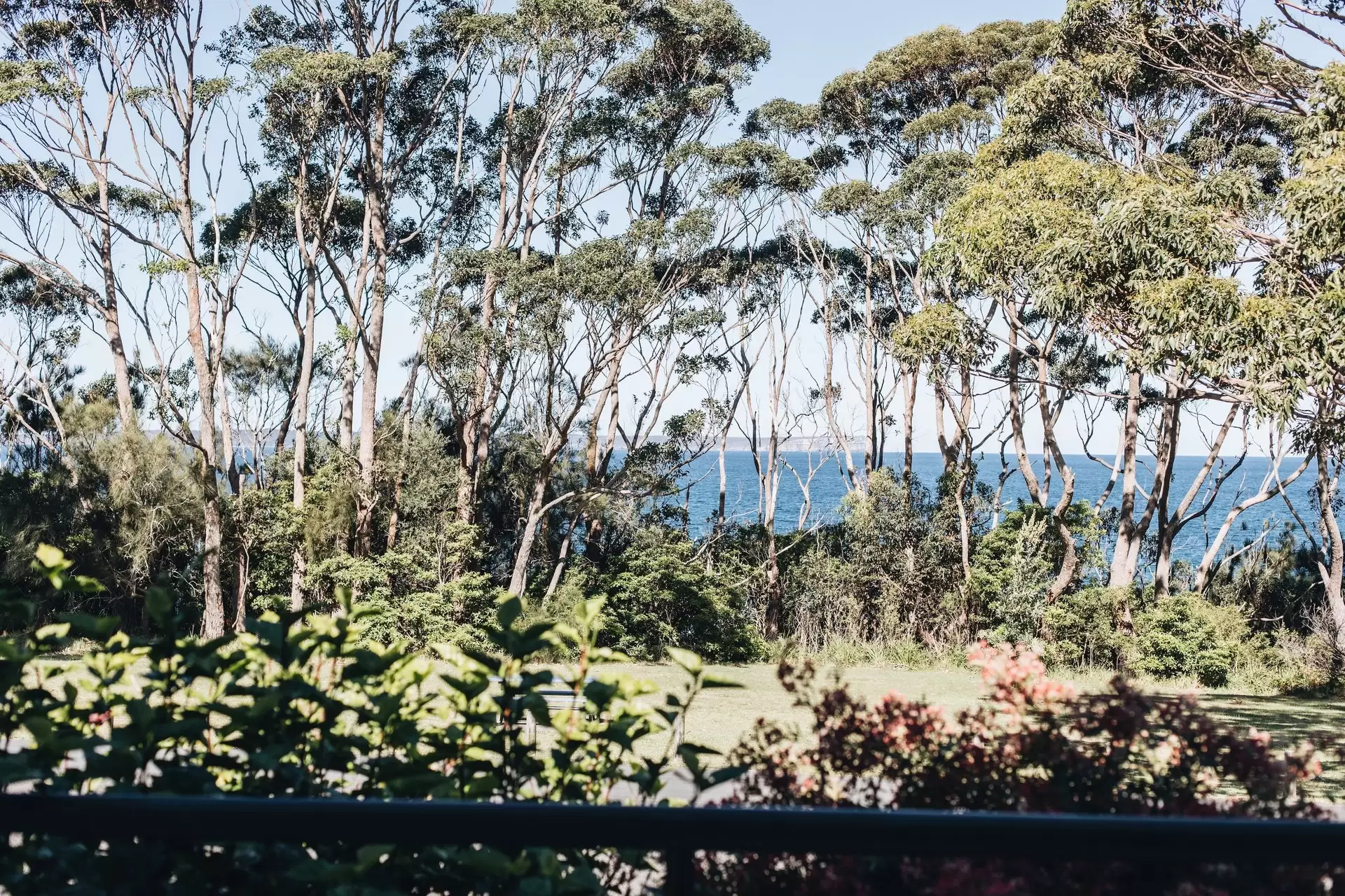 29 Cyrus Street, Hyams Beach Sold by Drew Lindsay Sotheby's International Realty - image 15