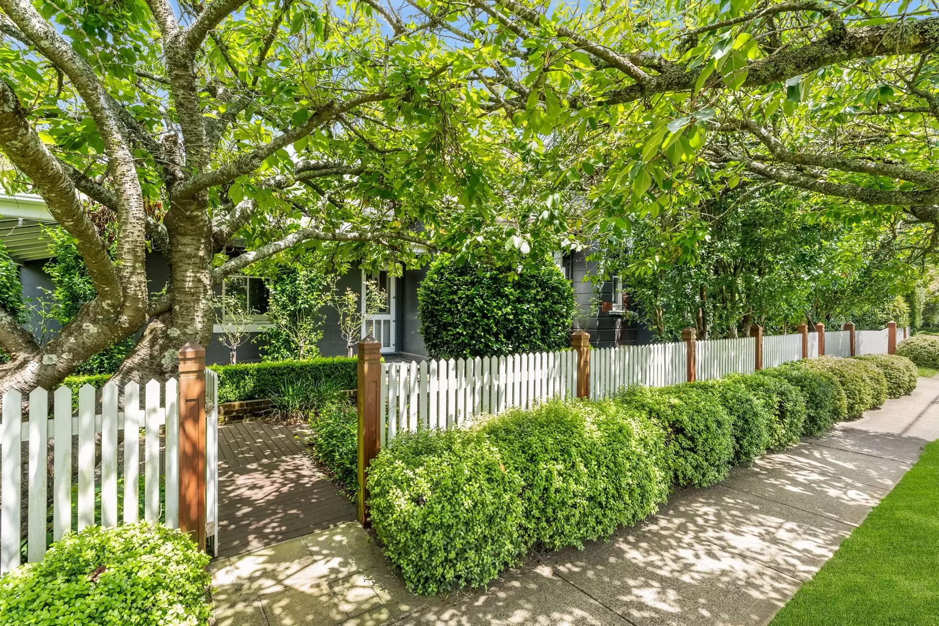 67-69 Hoddle Street, Robertson For Sale by Drew Lindsay Sotheby's International Realty - image 6