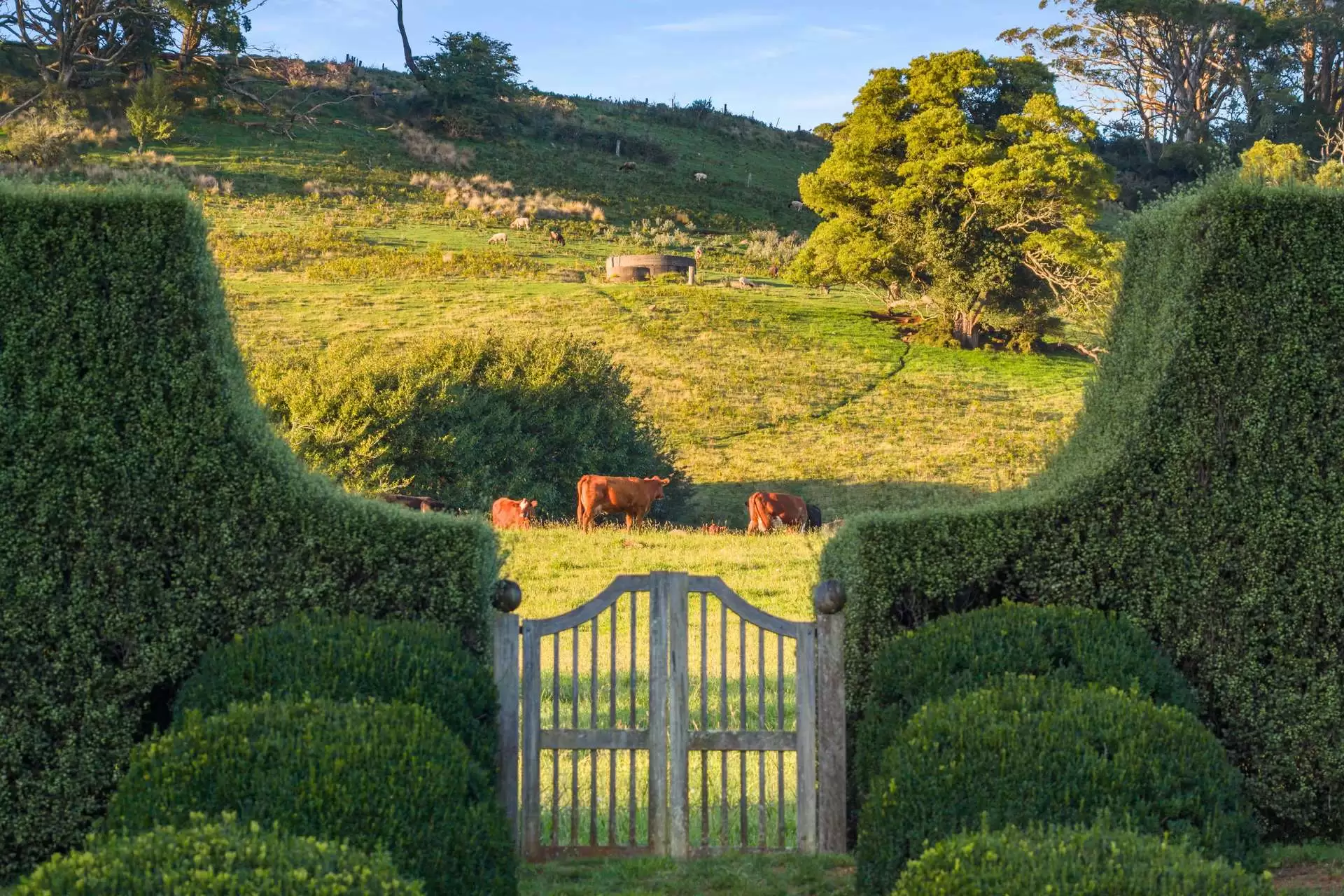 225 Wildes Meadow Road, Wildes Meadow Sold by Drew Lindsay Sotheby's International Realty - image 33