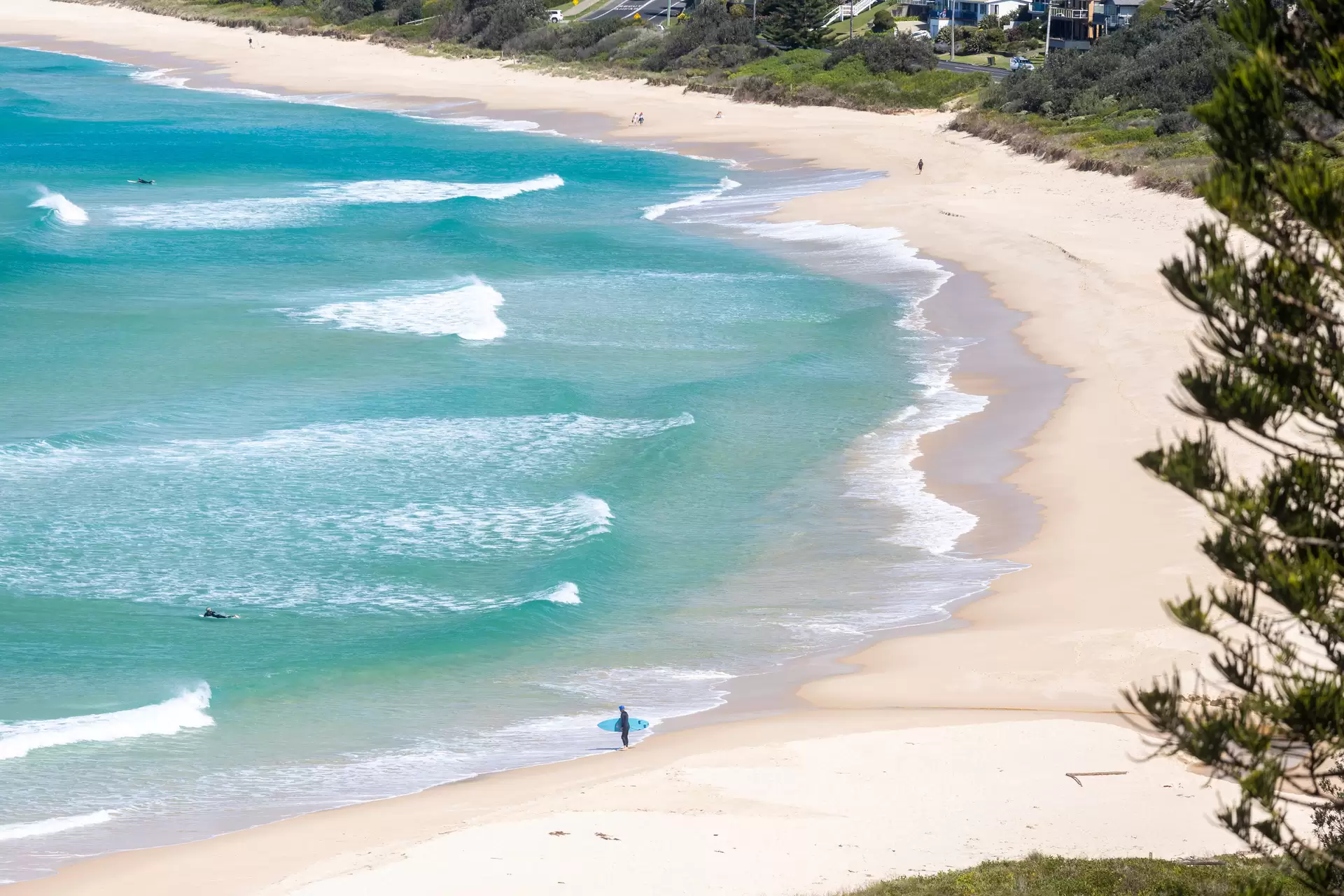 154 Mitchell Parade, Mollymook Beach For Sale by Drew Lindsay Sotheby's International Realty - image 9