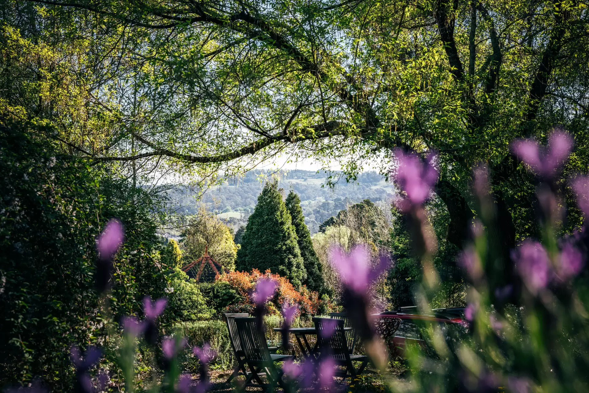 7 Ellen Street, Bowral For Sale by Drew Lindsay Sotheby's International Realty - image 24