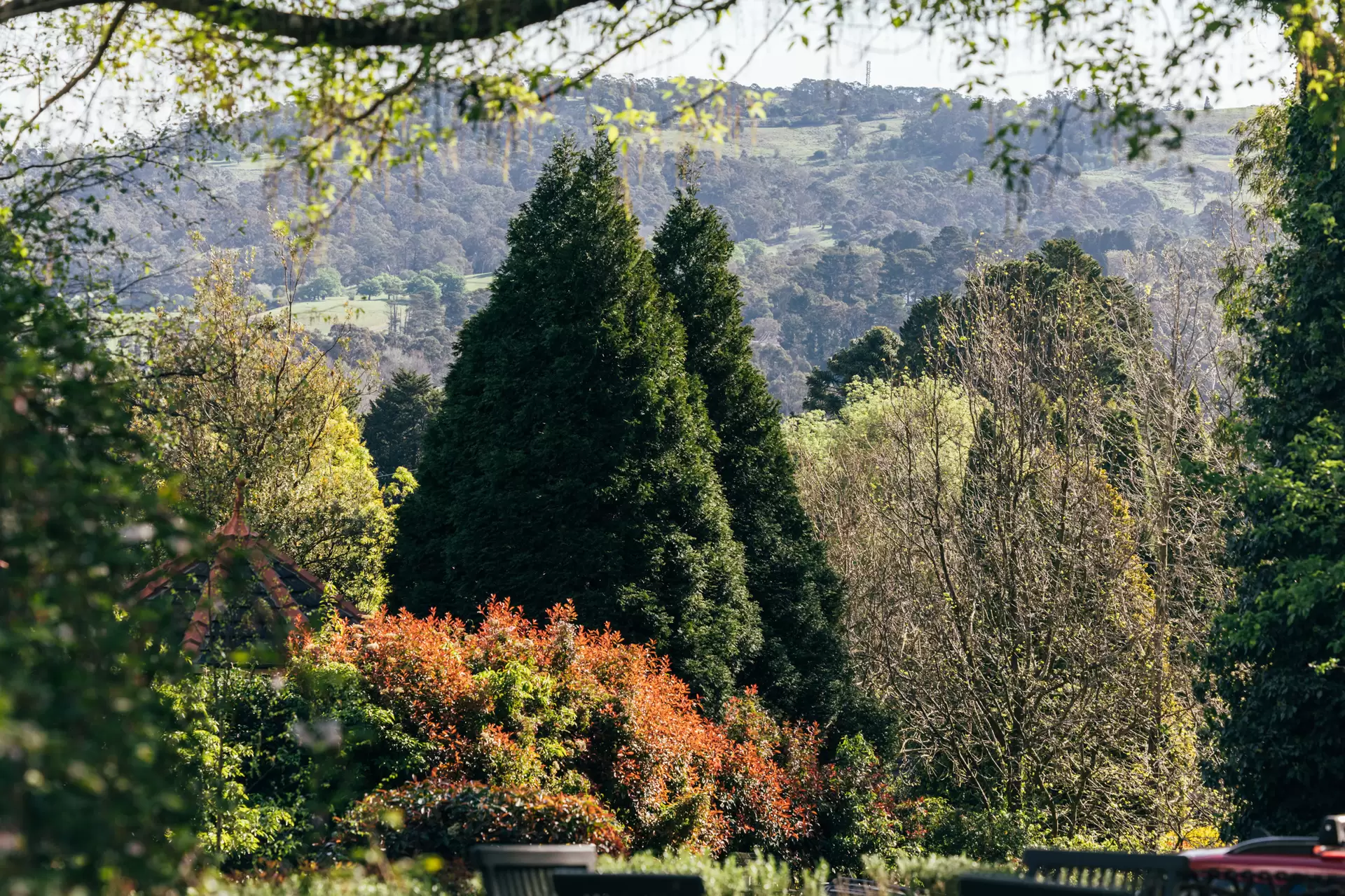 7 Ellen Street, Bowral For Sale by Drew Lindsay Sotheby's International Realty - image 32