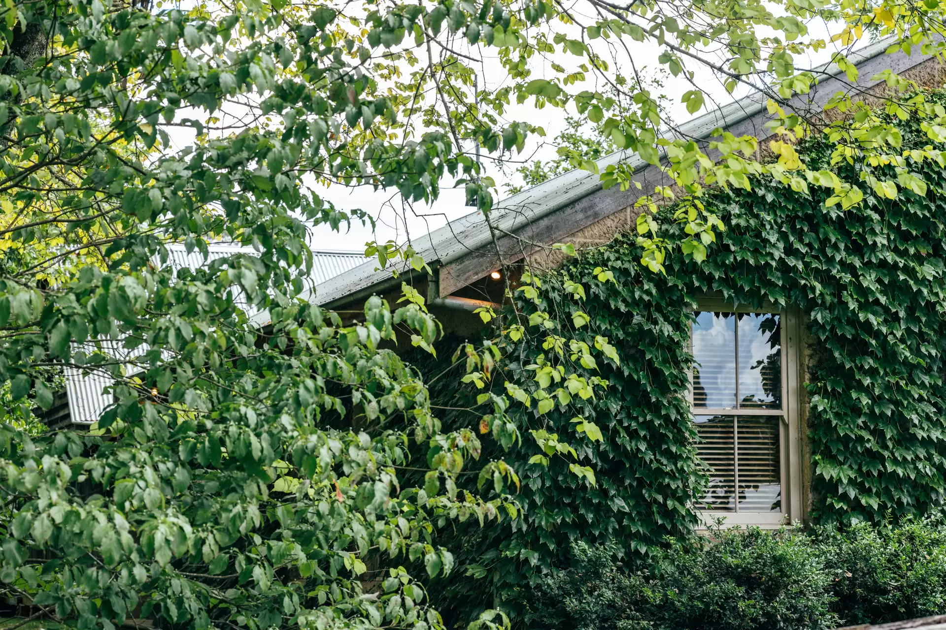 440 Stonequarry Creek (via Rockleigh Road) Road, Exeter For Sale by Drew Lindsay Sotheby's International Realty - image 19