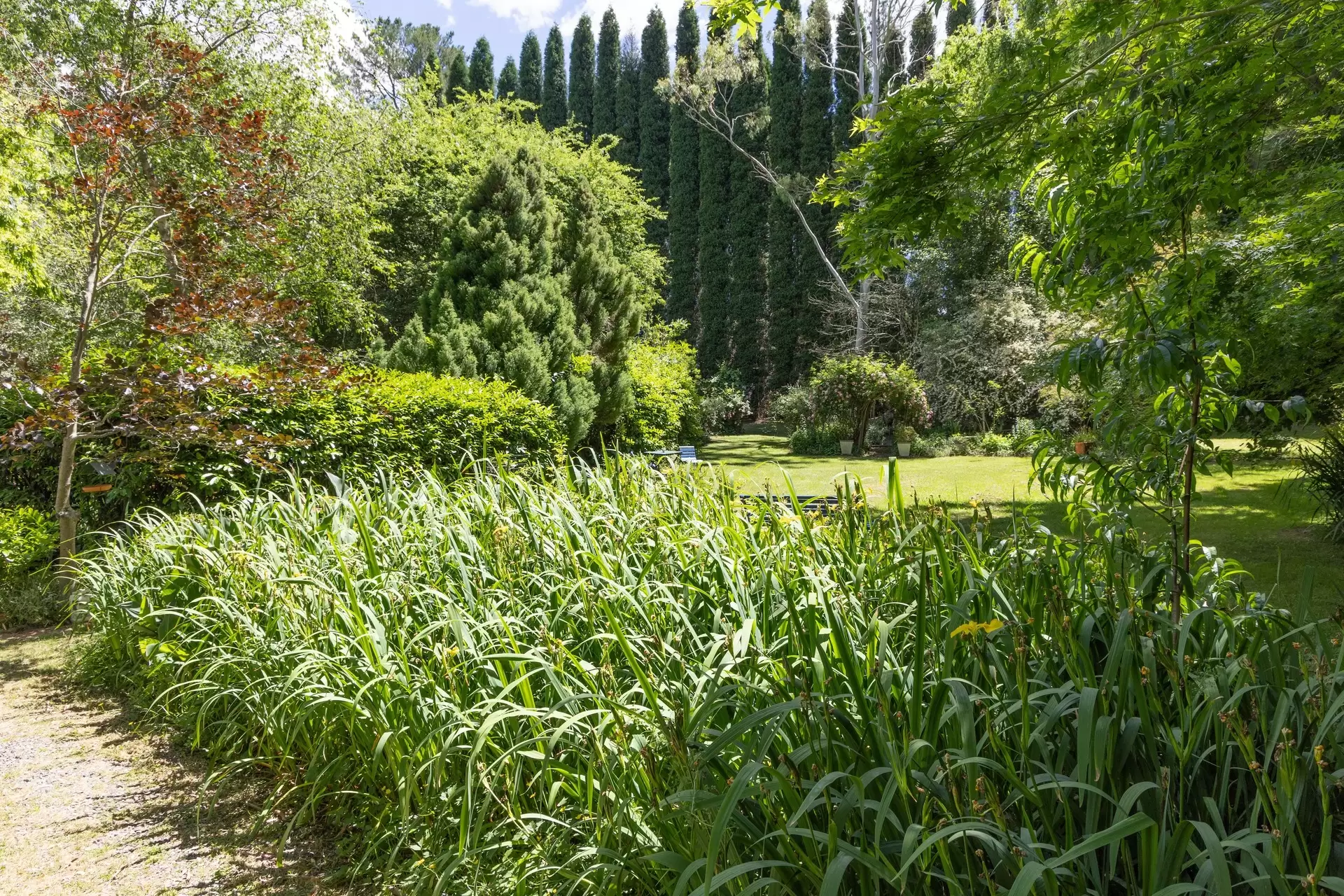 Burradoo For Sale by Drew Lindsay Sotheby's International Realty - image 17