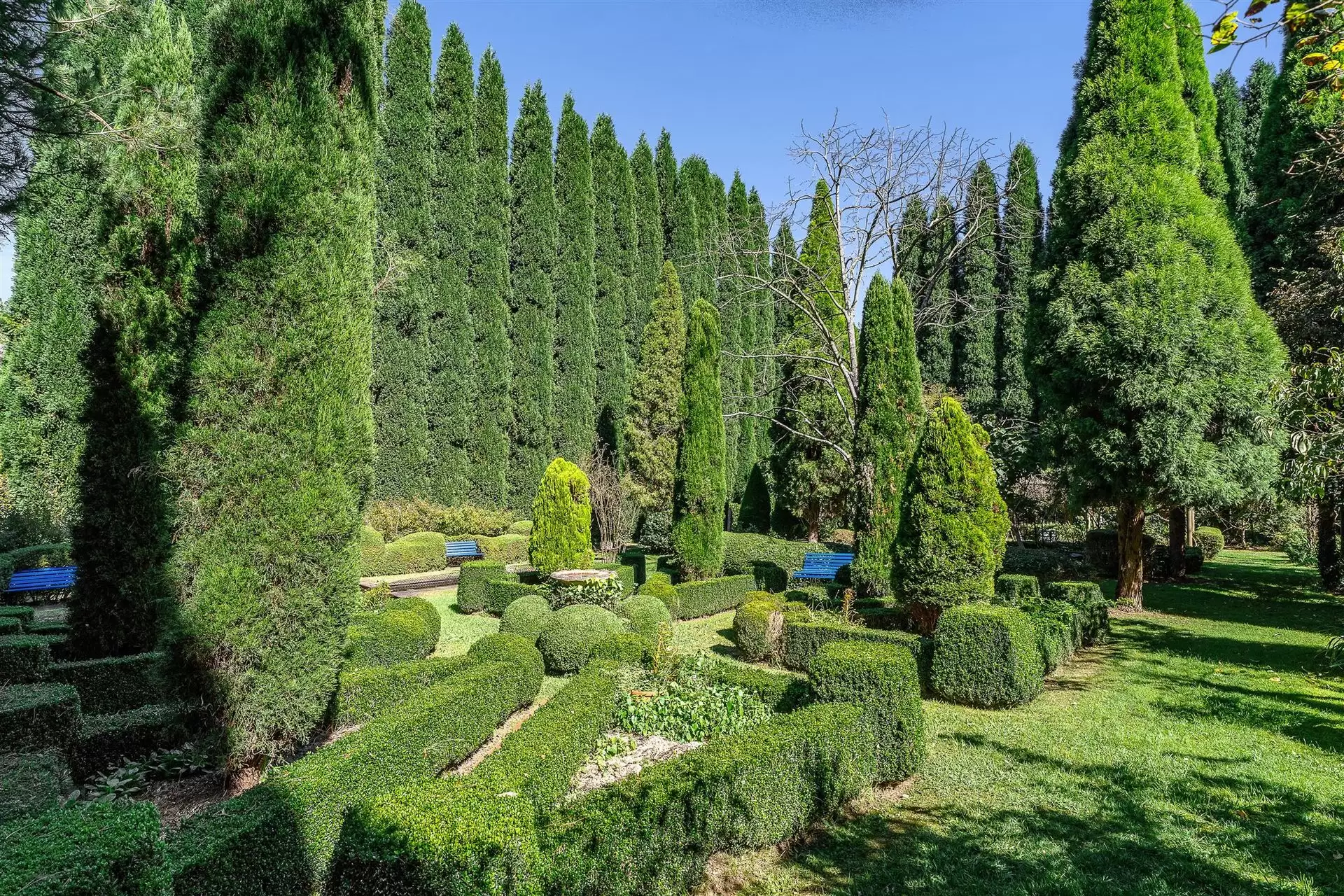 Burradoo For Sale by Drew Lindsay Sotheby's International Realty - image 5