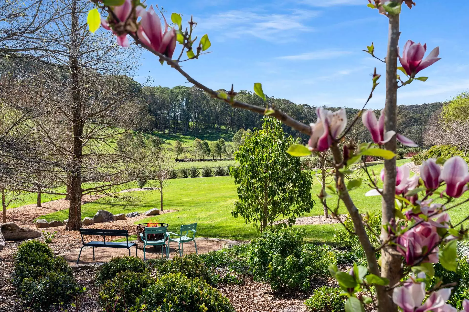 781 Nowra Road, Fitzroy Falls For Sale by Drew Lindsay Sotheby's International Realty - image 30