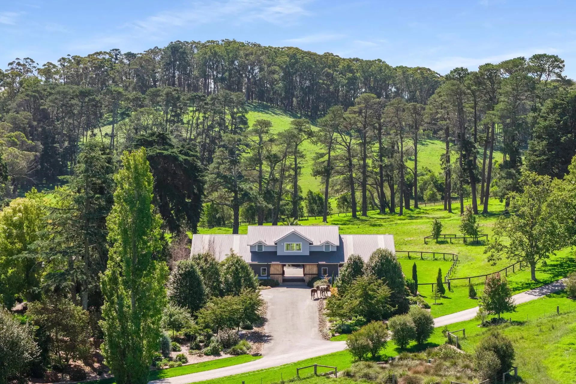 781 Nowra Road, Fitzroy Falls For Sale by Drew Lindsay Sotheby's International Realty - image 25