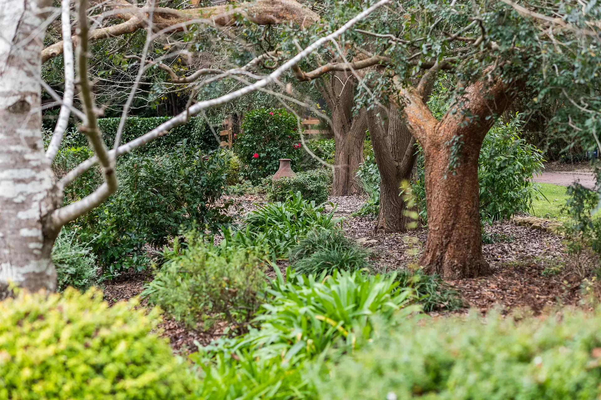 51 Hurlingham Avenue, Burradoo For Sale by Drew Lindsay Sotheby's International Realty - image 20