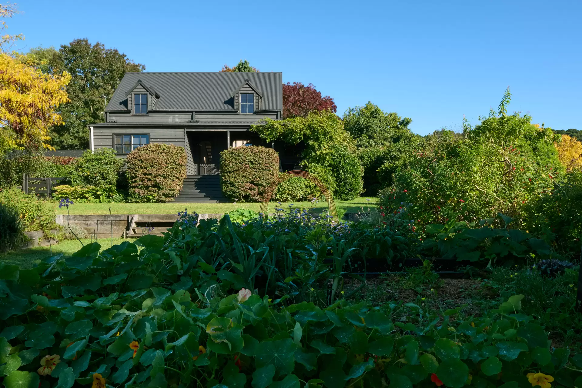 470 Fountaindale Road, Robertson For Sale by Drew Lindsay Sotheby's International Realty - image 26