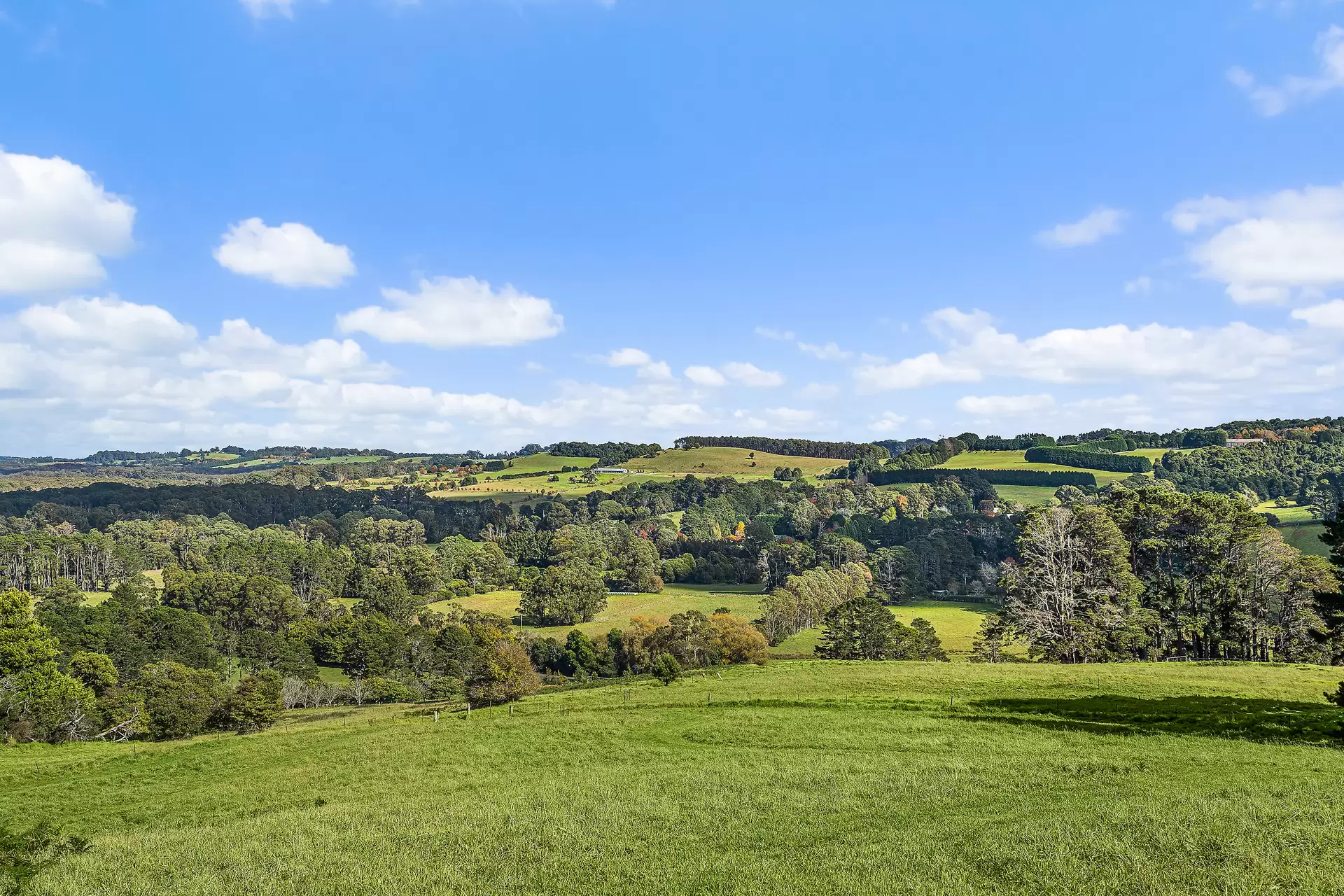 191 Belmore Falls Road, Robertson For Sale by Drew Lindsay Sotheby's International Realty - image 14