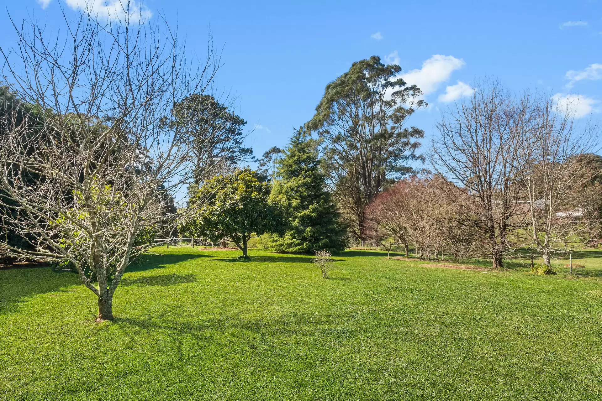 37 May Street, Robertson For Sale by Drew Lindsay Sotheby's International Realty - image 11