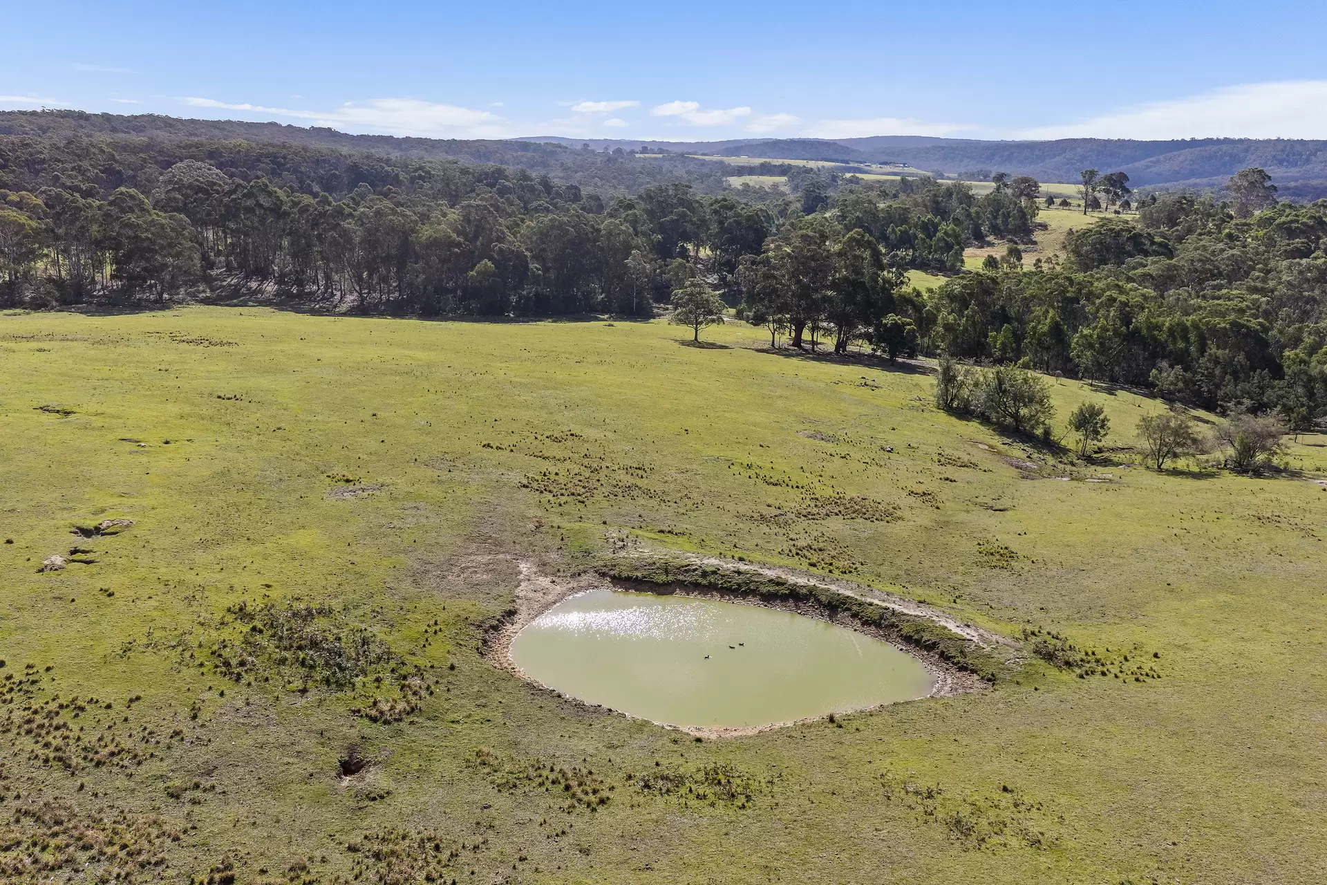 1095 Caoura Road, Tallong Sold by Drew Lindsay Sotheby's International Realty - image 20