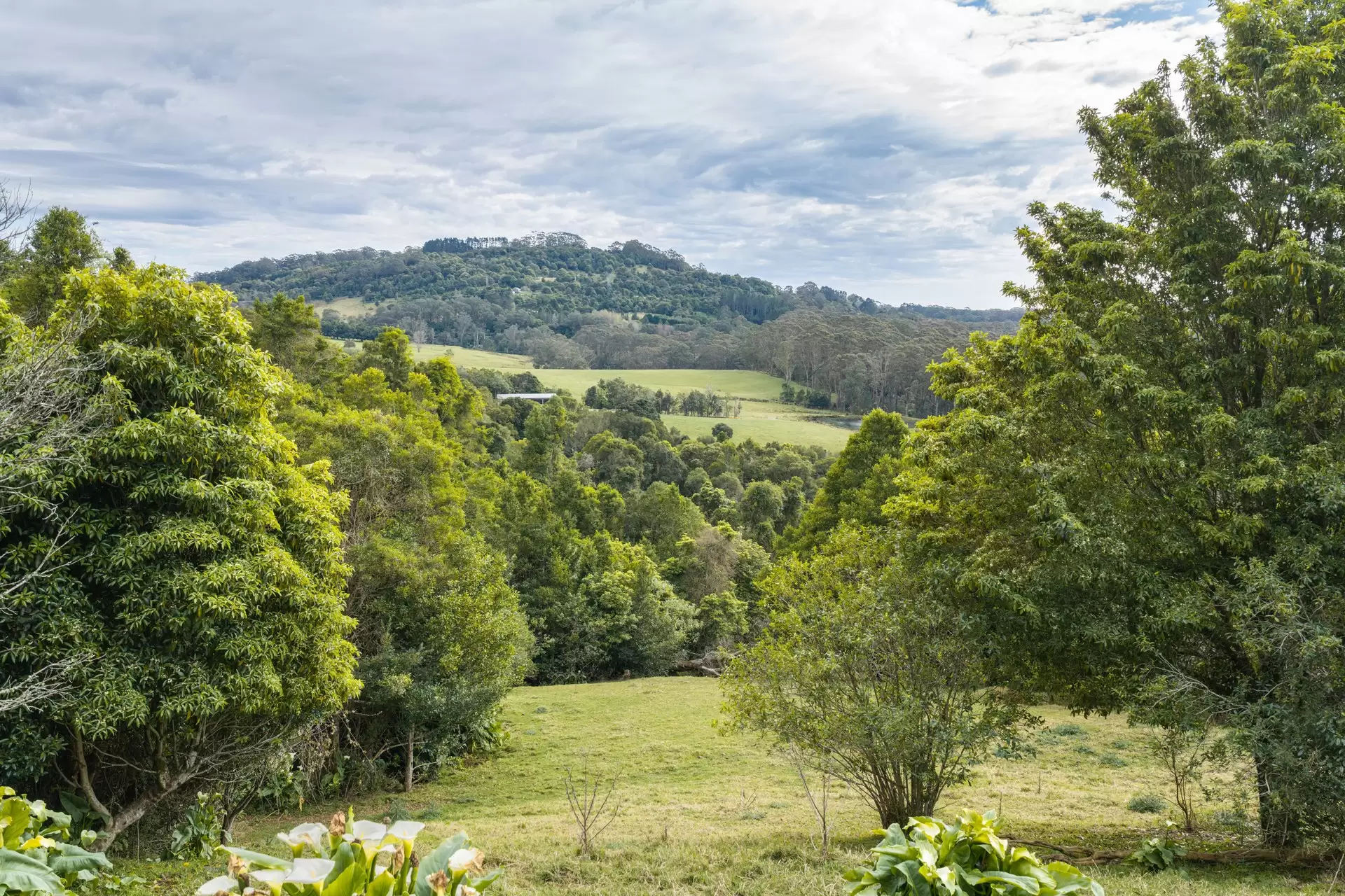 4211 Illawarra Highway, Robertson For Sale by Drew Lindsay Sotheby's International Realty - image 22