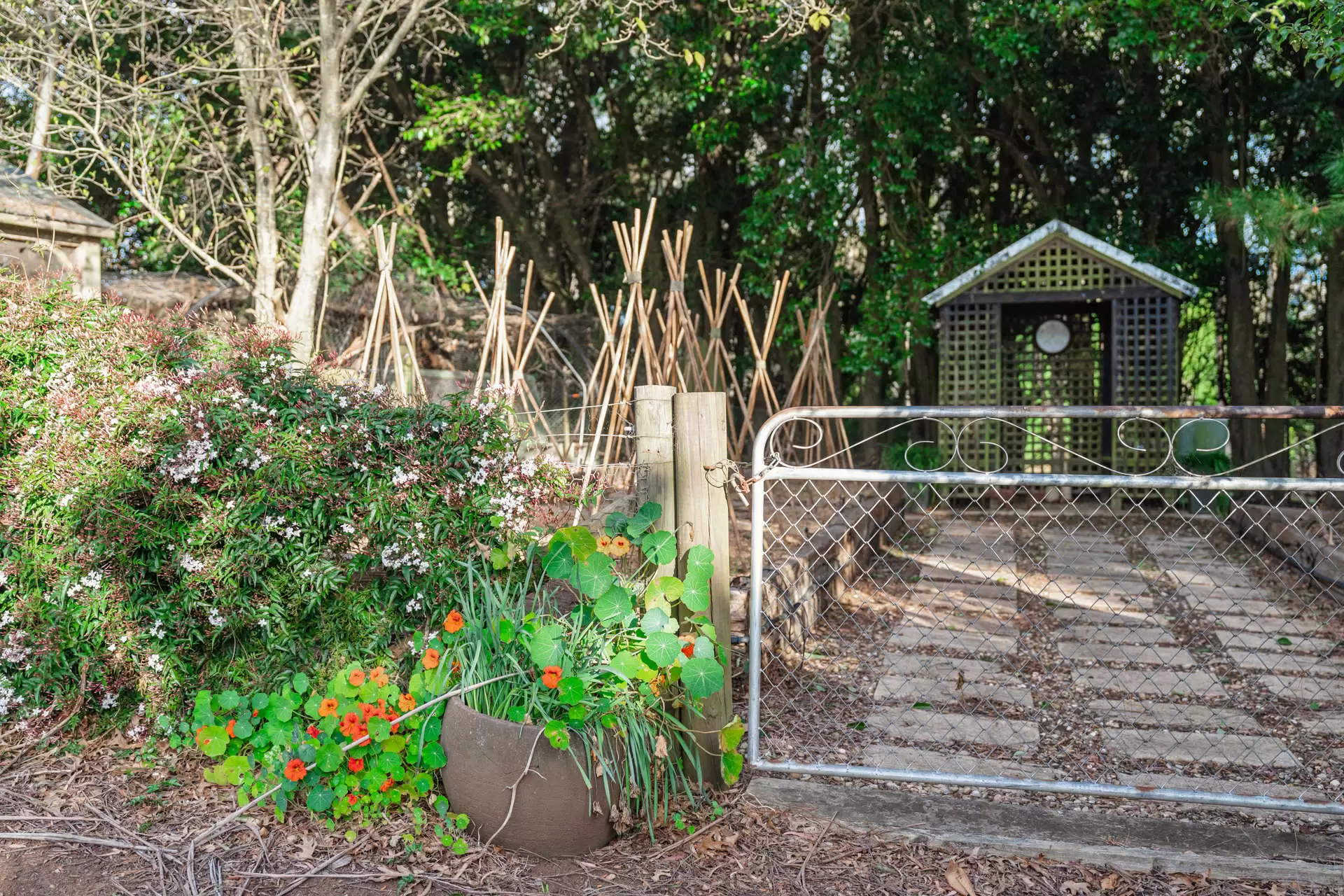 561 Range Road, Mittagong For Sale by Drew Lindsay Sotheby's International Realty - image 14