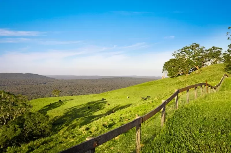 561 Range Road, Mittagong For Sale by Drew Lindsay Sotheby's International Realty - image 11