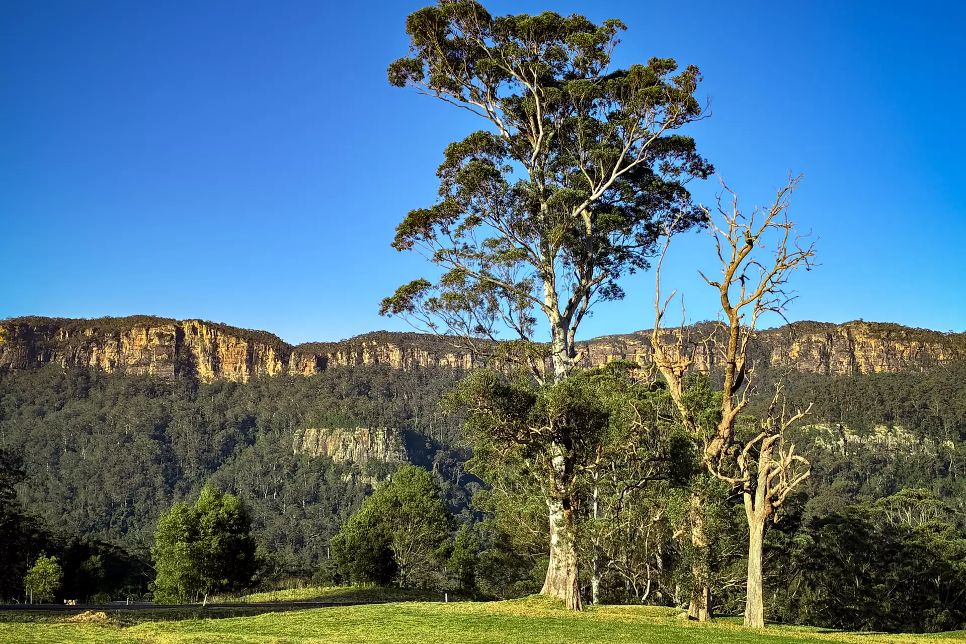368A Bunkers Hill Road, Barrengarry For Sale by Drew Lindsay Sotheby's International Realty - image 3